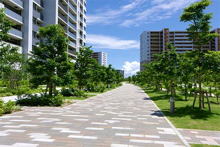 Projet immobilier été 2026